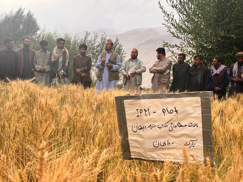 GXAiw6za8AA m h?format=jpg.jpg