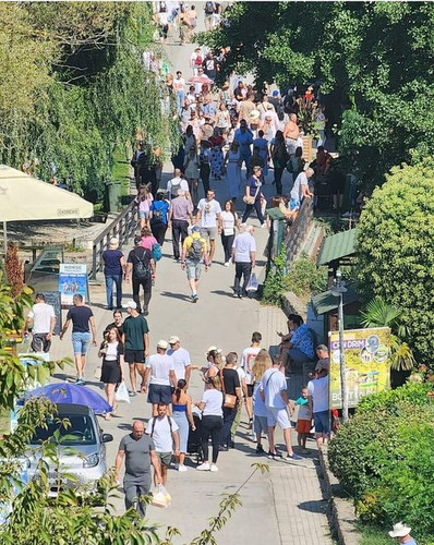 459087284 938006048370152 8160889111367201740 n.jpg?stp=dst jpg s640x640& nc cat=103&ccb=1 7& nc sid.jpg