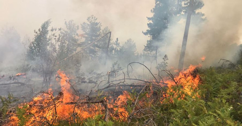 458932296 827282149516925 3934523625449719955 n.jpg? nc cat=106&ccb=1 7& nc sid=127cfc& nc ohc=KDzZh.jpg