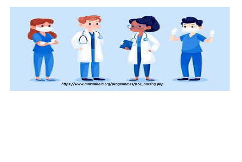 nursing sadopur 1.jpg