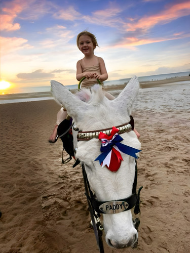 3AF856F0 AE63 4DAD 85CB 3CF054BDE5F9.jpg