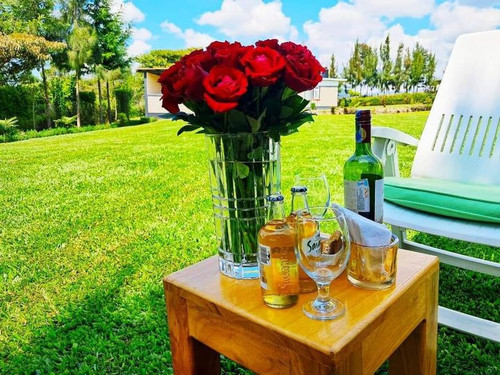 459005201 1053693066129198 7433059144100002753 n.jpg?stp=dst jpg s720x720& nc cat=109&ccb=1 7& nc si.jpg