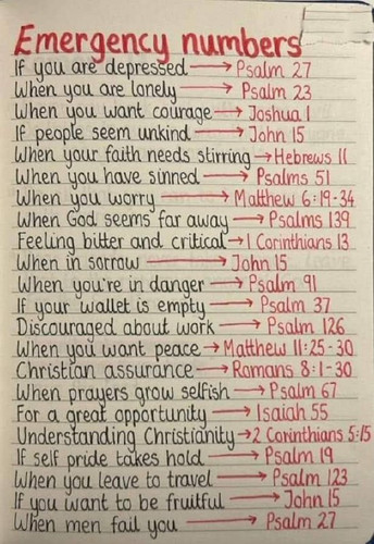 5148171844115868732 120.jpg