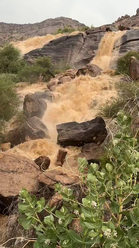 Ms QmpNLTooag43a.jpg