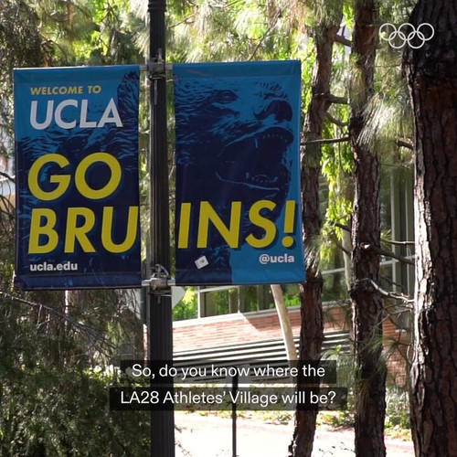 C EuM M9jlEZn8 Q.jpg