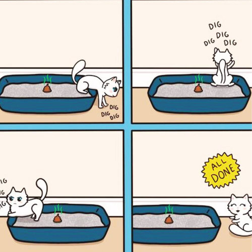 459009204 1075357534593363 3922793326009507072 n.jpg