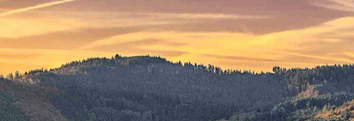 pexels christian heitz 285904 842711 (1).jpg