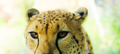 26541536141 41abe98db3 z (1) (1).jpg