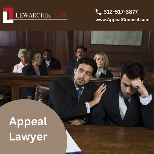Appeal Lawyer.jpg
