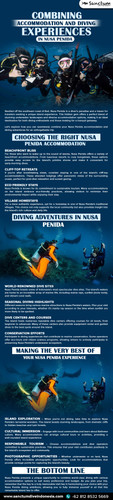 Combining Accommodation and Diving Experiences in Nusa Penida.jpg