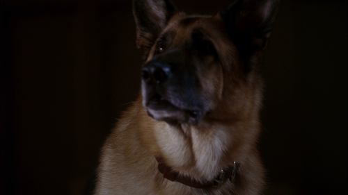 cap Desperate.Housewives.S02E01.Next.1080p.DSNP.WEB DL.DDP5.1.H.264 FLUX 00 01 49 04.png