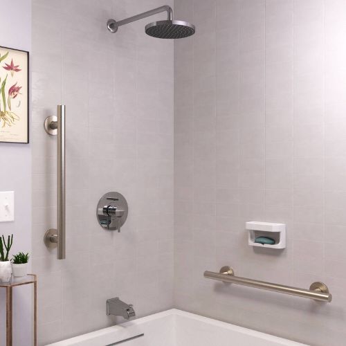 Stylish Grab bars for showering in Austin.jpg