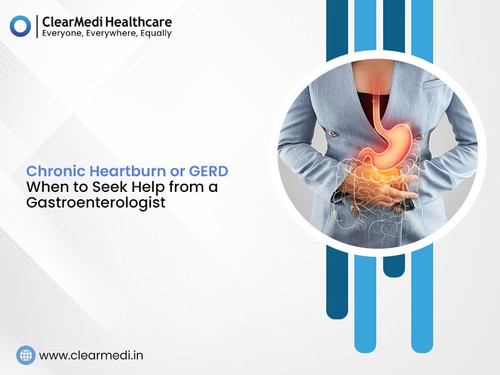 WhatsApp Image 2024 07 03 at 3.19.48 PM (1).jpg