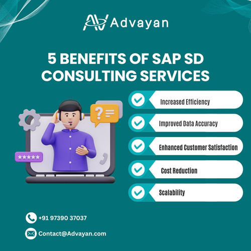 5 Benefits of SAP SD Consulting Services.jpg