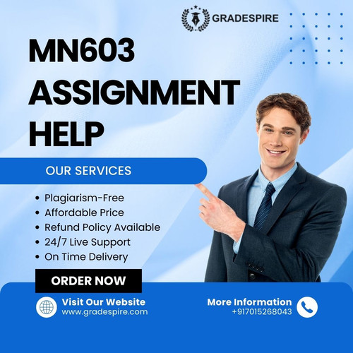 Expert Assistance for Wireless Networks and Security MN603 Assignment - Elevate Your Grade with Us.jpg
