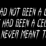 the coffin had not been a coff 11 09 2024 (2)