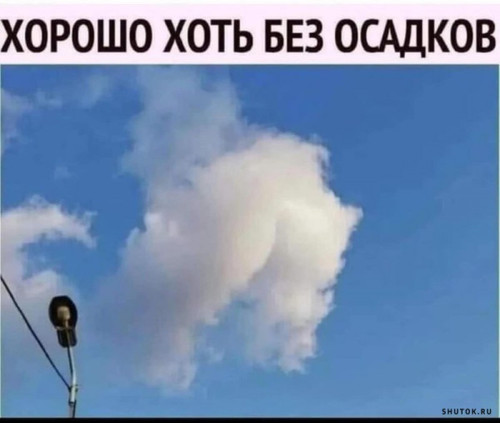 opa.jpg
