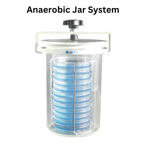 Anaerobic Jar System 245×215×295mm.png