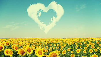 COVER (64).jpg