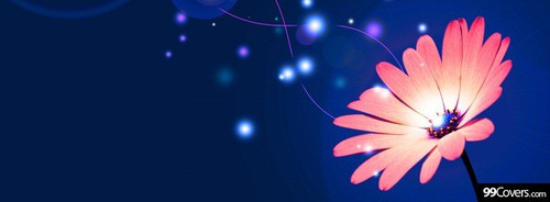 COVER (51).jpg