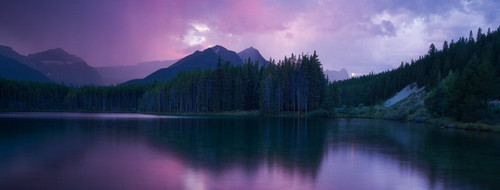COVER (55).jpg
