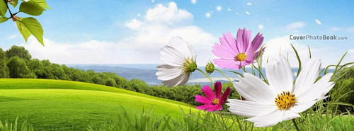 COVER (38).jpg