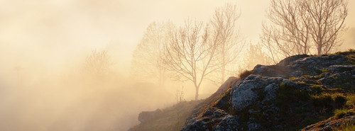 COVER (34).jpg