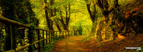 COVER (44).jpg