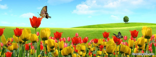 COVER (30).jpg