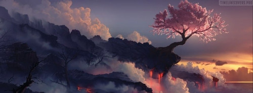 COVER (41).jpg