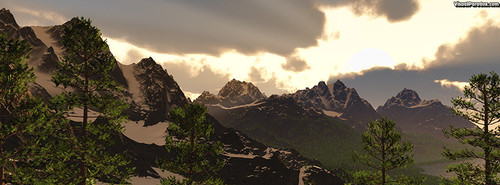COVER (46).jpg