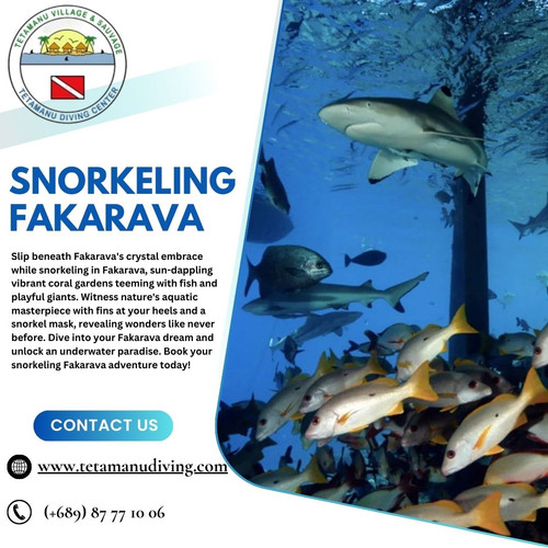 Snorkeling Fakarava: Where Rainbow Reefs and Reef Dwellers Play.jpg