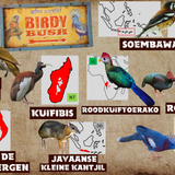 Birdy Bush (Textuurversie)