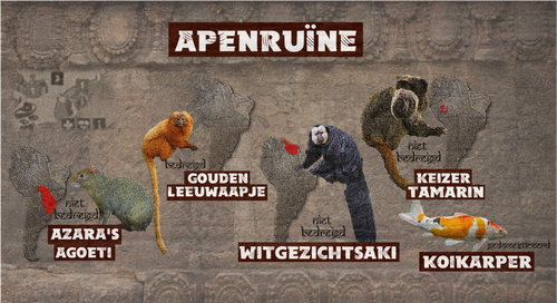 Apenruïne (Textuurversie).png
