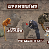 Apenruïne (Textuurversie)