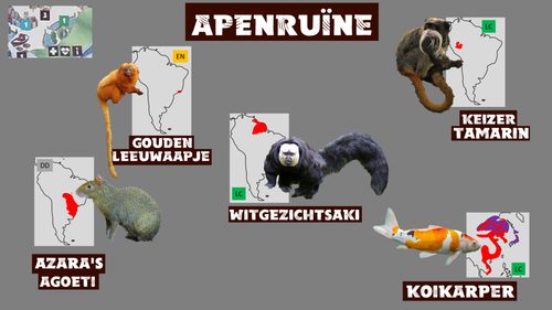 Apenruïne.png