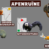 Apenruïne
