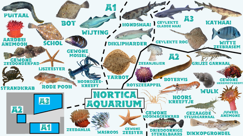 Nortica Aquarium.png