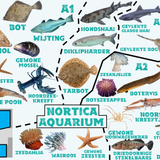 Nortica Aquarium