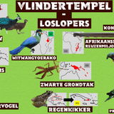 Vlindertempel Loslopers