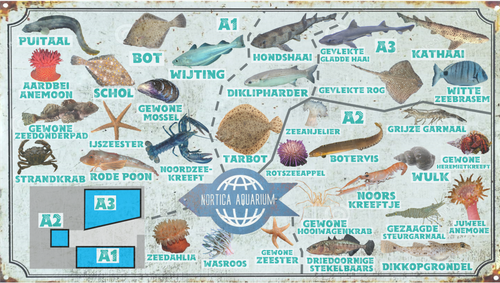 Nortica Aquarium (Textuurversie).png