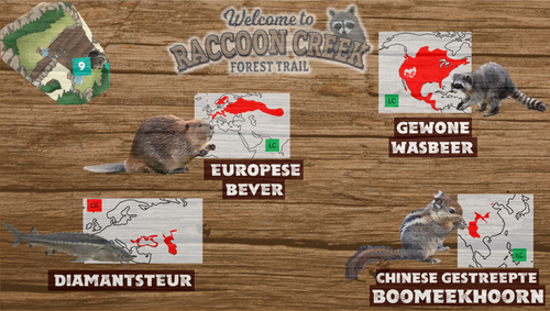 Raccoon creek (Textuurversie).png