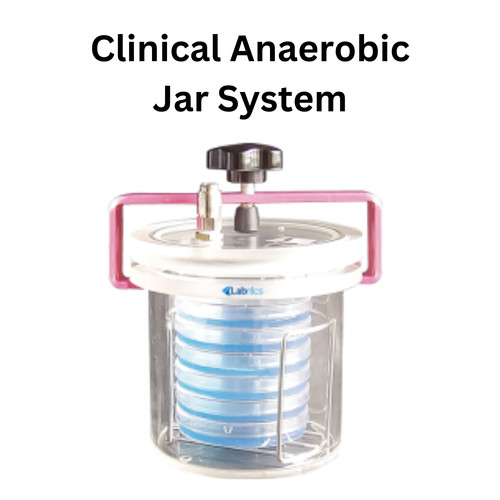 Clinical Anaerobic Jar System.jpg