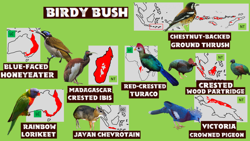 Wildlands Birdy Bush.png