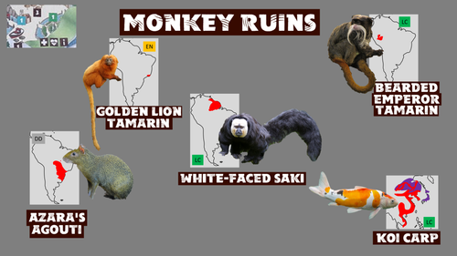 Wildlands Monkey Ruins.png