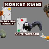 Wildlands Monkey Ruins