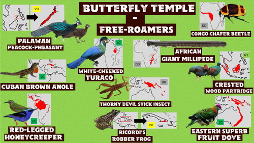Wildlands Butterfly temple (Free roamers).png