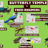 Wildlands Butterfly temple (Free roamers)