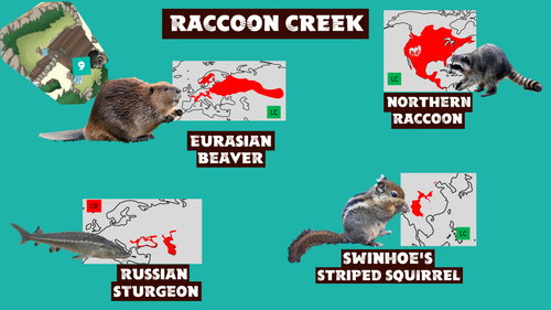 Wildlands Raccoon Creek.png