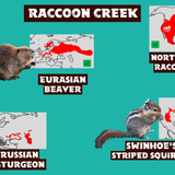 Wildlands Raccoon Creek